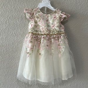 Special Occasion Toddler Dress